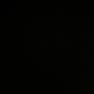 Meet your Posher, Gigi